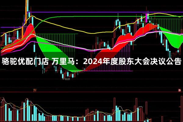 骆驼优配门店 万里马：2024年度股东大会决议公告