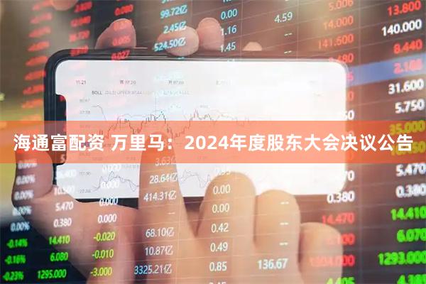 海通富配资 万里马：2024年度股东大会决议公告