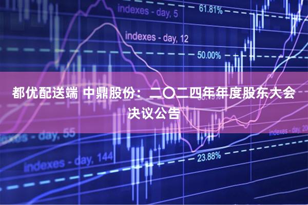 都优配送端 中鼎股份：二〇二四年年度股东大会决议公告