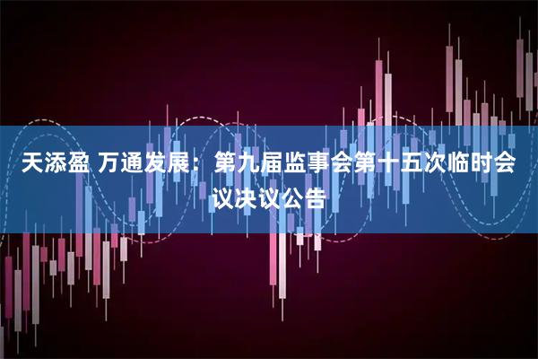 天添盈 万通发展：第九届监事会第十五次临时会议决议公告