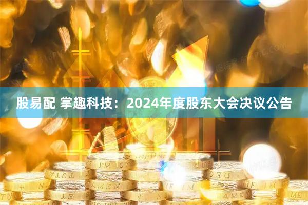 股易配 掌趣科技：2024年度股东大会决议公告