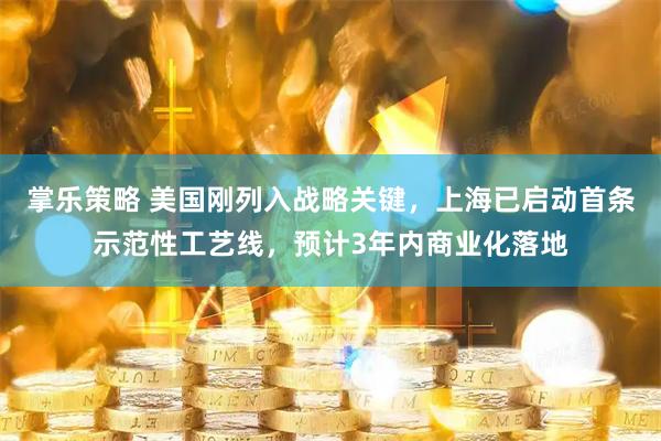 掌乐策略 美国刚列入战略关键，上海已启动首条示范性工艺线，预计3年内商业化落地